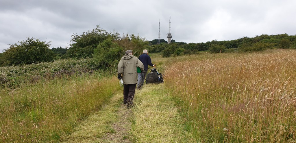 Image shows fields of long grass with trees behind and volunteers working to clear a path through.