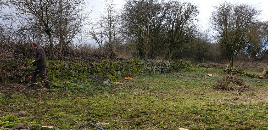 Images showing the dry stone walls with surrounding grass and trees.